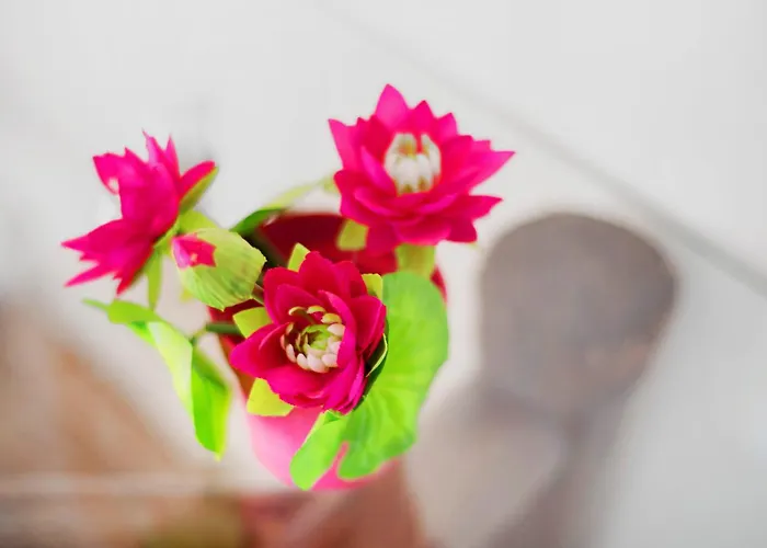 Nido Sobre El Barranco Piso Bali איקוד דה לוס וינוס